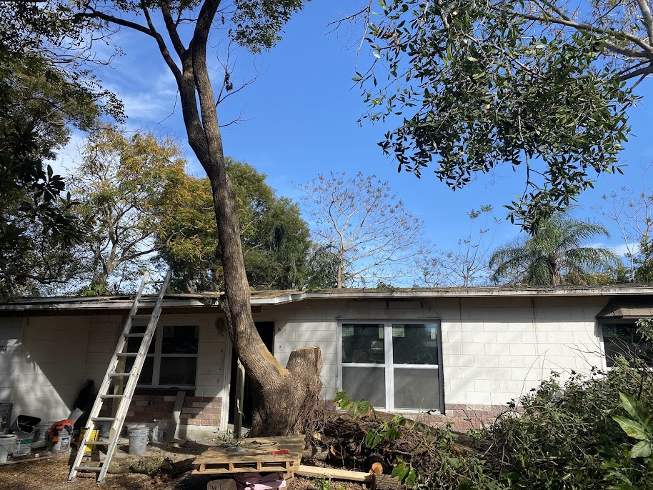 Don San George Ct, Orlando, FL 32812 — before photo 2